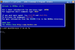 screenshot from DosBox emulator