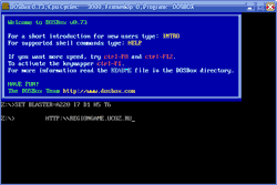 screenshot from DosBox emulator